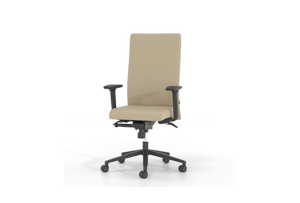 Διευθυντικό Κάθισμα Dromeas Smart D Δερματίνη Μπέζ Πεντάνευρο Ανθρακί