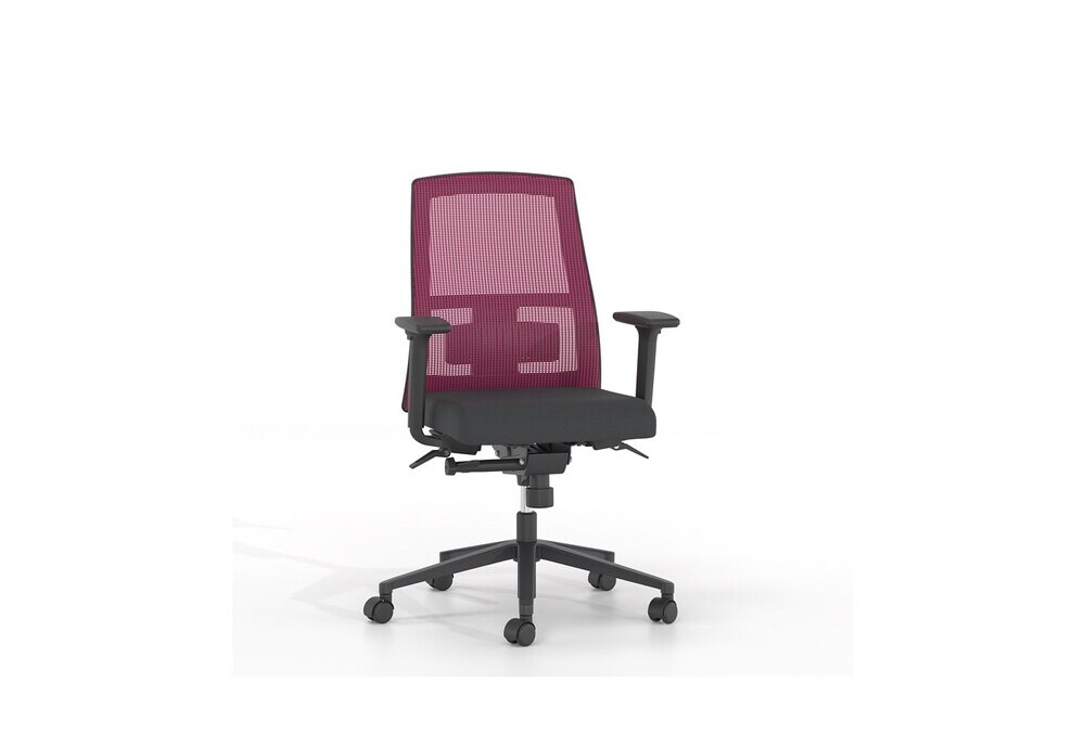 Κάθισμα Εργασίας Dromeas Action Πλάτη Δίχτυ Mπορτνώ Έδρα Ύφασμα Μαύρο Πεντάνευρο Βαμμένο Ανθρακί