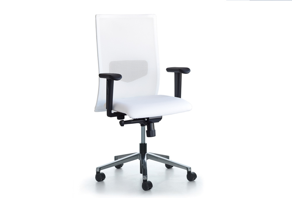 Κάθισμα Εργασίας Dromeas Smart  Πλάτη Δίχτυ Λευκό Δερματίνη Λευκή